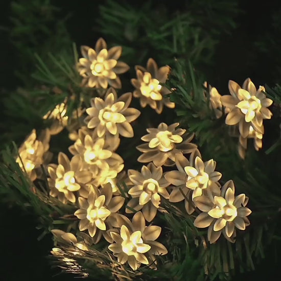 Flower String Lights